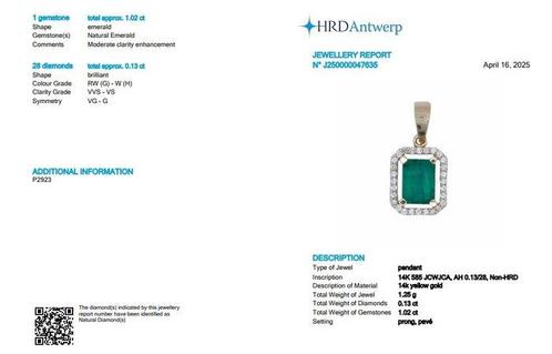Zonder Minimumprijs - Hanger - 14 karaat Geel goud - 1.15ct., Sieraden, Tassen en Uiterlijk, Antieke sieraden