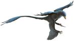Dinosaurus - Fossiel skelet, Verzamelen, Mineralen en Fossielen