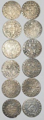Polen, Koninkrijk. Sigismund III Vasa (1587-1632). Lot of 12, Postzegels en Munten, Munten | Europa | Niet-Euromunten