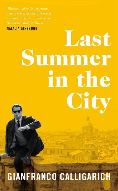 Last Summer in the City 9781529042269 Gianfranco Calligarich, Boeken, Overige Boeken, Zo goed als nieuw, Verzenden