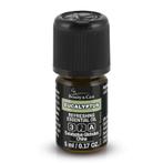 Beauty & Care Eucalyptus etherische olie 5 ml.  new, Ophalen of Verzenden, Nieuw, Aroma