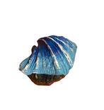 Schelp met luchtaansluiting blauw OS-151 - aquarium decorati, Dieren en Toebehoren, Vissen | Aquaria en Toebehoren, Ophalen of Verzenden