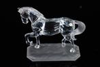 Figuur - Swarovski - Arabisch volbloed (Boxed + Certificate), Antiek en Kunst