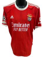 Benfica - Europese voetbal competitie - fernandez - 2022 -, Nieuw