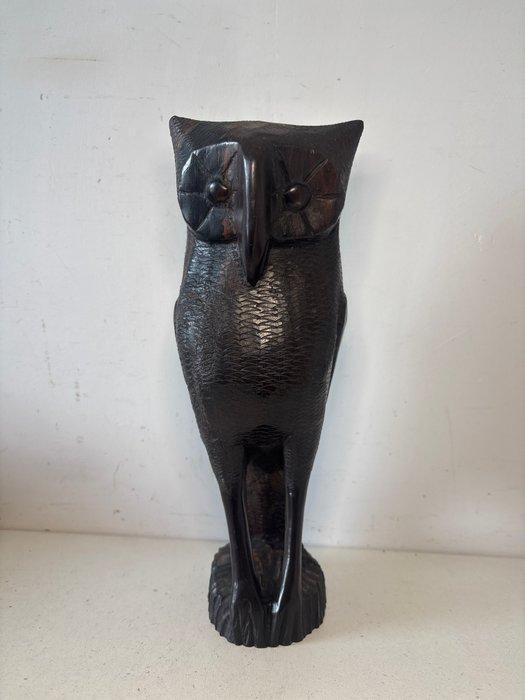 Beeld, Uil - 26.5 cm - Coromandel, Antiek en Kunst, Curiosa en Brocante