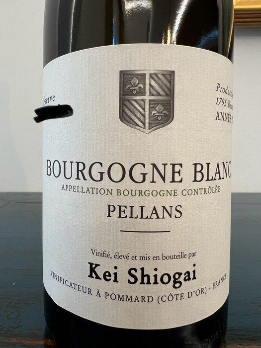 2020 Kei Shiogai Bourgogne Pellans - Bourgogne - 1 Fles, Verzamelen, Wijnen
