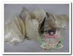 Placuna Placenta naturel 1 kilo, Ophalen of Verzenden, Nieuw