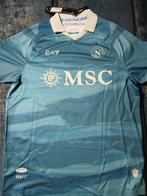 Napoli - Italiaanse voetbal competitie - SCOTT MCTOMINAY -, Nieuw