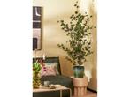 Mica Decorations Eucalyptus Kunstplant in Bloempot - H150 x, Verzenden