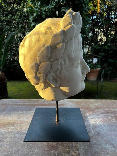 sculptuur, Testa di Napoleone Bonaparte - 37 cm - marmerstof, Antiek en Kunst, Curiosa en Brocante