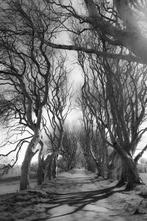 Gilliard Bressan - Winter Lane - XL, Antiek en Kunst