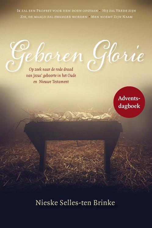 Geboren Glorie 9789464250145 Nieske Selles-ten Brinke, Boeken, Godsdienst en Theologie, Gelezen, Verzenden
