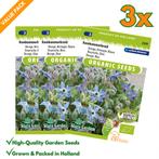 Komkommerkruid Borage Zaden: Kweek Heerlijke, Aromatische, Verzenden