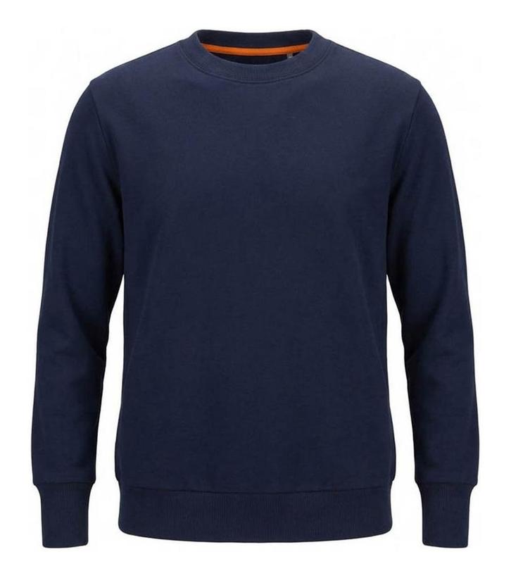 Icebreaker Trui in maat L Blauw, Kleding | Dames, Truien en Vesten, Blauw, Zo goed als nieuw, Verzenden