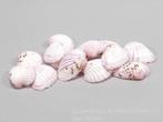 Tiger Chippy schelpen roze, 500 gram, Ophalen of Verzenden, Nieuw