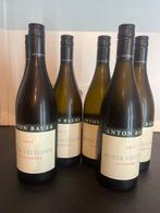 2017 Anton Bauer, Roter Veltliner - Wagram - 6 Flessen (0.75, Verzamelen, Nieuw