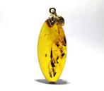 Prachtige BALTIJSCHEN AMBER Hanger – Dubbele fossiele, Nieuw