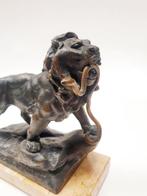 Emile François Rousseau (1853-?) - sculptuur, Fier lion, Antiek en Kunst
