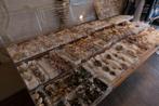 Uitgebreide schelpen- en slakkencollectie Taxidermie, Nieuw