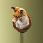 Vos Taxidermie Opgezette Dieren By Max, Ophalen of Verzenden, Nieuw, Wild dier, Opgezet dier