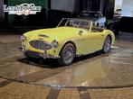 Austin-Healey 3000 Mark I (LHD) (Marge), Auto's