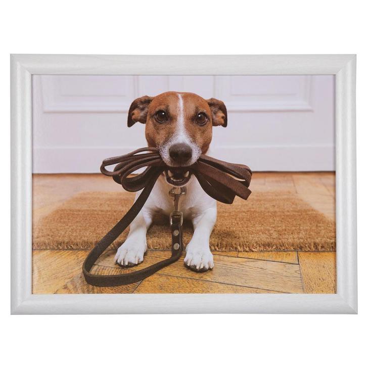 schootkussen humor jack russell 43cm, Huis en Inrichting, Woonaccessoires | Overige, Verzenden