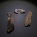 Neolithisch 3 vuurstenen. 6,5 cm L. Mes - 5000 v.Chr. Bijl