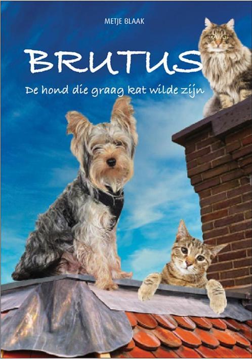 Brutus 9789082187496 Metje Blaak, Boeken, Kinderboeken | Kleuters, Zo goed als nieuw, Verzenden
