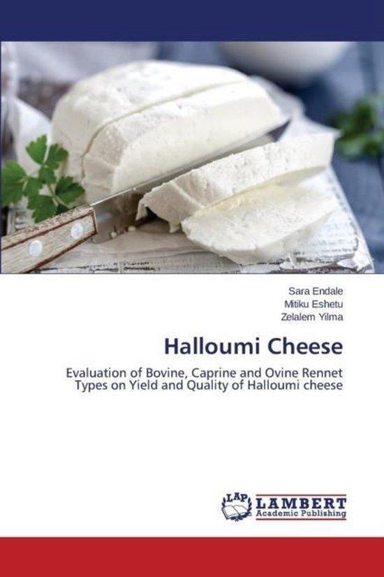 9783659626753 Halloumi Cheese Endale Sara, Boeken, Informatica en Computer, Nieuw, Verzenden