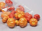 Voordeelzak Pompoentjes per zak, Ophalen of Verzenden, Nieuw