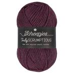 Scheepjes Truly Scrumptious - 377 Morello Fudge Cake - Gar, Hobby en Vrije tijd, Breien en Haken, Ophalen of Verzenden, Nieuw