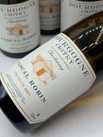 2023 Pascal Robin Bourgogne Coteaux de Chitry - Bourgogne, Verzamelen, Wijnen, Nieuw