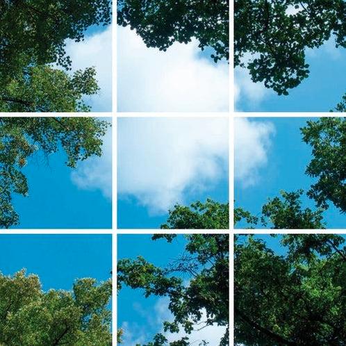 Wolk-bos plafond | Fotoprint | verdeeld over 9 panelen, Zakelijke goederen, Kantoor en Winkelinrichting | Kantoormeubilair en Inrichting