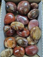 Big Lot HQ palm stones, petrified wood 6,2 - 4,7 cm Vrije