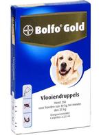 Bolfo Gold Hond 250 - 4 pipetten | 10 - 25KG, Nieuw, Ophalen of Verzenden