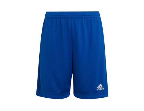 Adidas shorts shop youth