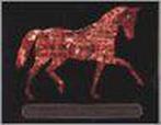 Het paard in de twintigste eeuw 9789076574011, Boeken, Verzenden, Gelezen