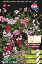 Geranium Ivy-leaved Summertime F1 Zaden, Hanggeranium, Tuin en Terras, Verzenden