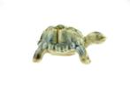 Miniatuur Wade - Schildpad