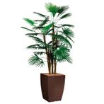 Rhapis Palm kunstplant, H150cm, Huis en Inrichting, Kamerplanten, Ophalen of Verzenden