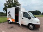 Leuke Peugeot instap paardenwagen!, Ophalen, Zo goed als nieuw, 2-paards trailer