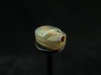 Oud-Egyptisch Kornalijn Scarab - 1.2 cm (Zonder