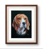 Lagana Irene - Beagle