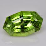 1 pcs Olivijn - 10.33 ct - International Gemological, Sieraden, Tassen en Uiterlijk, Edelstenen, Nieuw