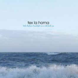 cd digi - Tex La Homa - Little Flashes Of Sunlight On A C..., Cd's en Dvd's, Cd's | Rock, Zo goed als nieuw, Verzenden