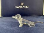 Beeldje - Swarovski - Tekkel - 010003 - Kristal
