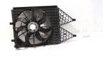 Koelventilatormotor Seat Ibiza Mk 1.4, Auto-onderdelen, Motor en Toebehoren, Ophalen of Verzenden, Gebruikt, Seat