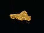 Zeldzame gouden pepita - Lapponia/Finlandia Goud nugget-