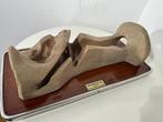 Anatomisch model - Gips - 1960-1970 - Oor, anatomisch, Antiek en Kunst, Antiek | Wandborden en Tegels