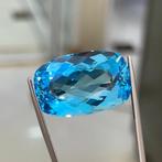 Zonder Minimumprijs Blauw Topaas  - 60.14 ct - nternational, Nieuw